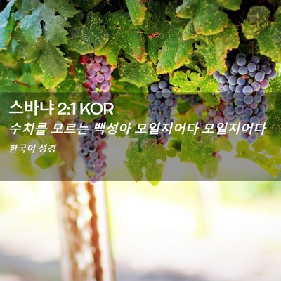 Picture 02 - 스바냐 2:1 KOR - 수치를 모르는 백성아 모일지어다 - Bible Verse Picture
