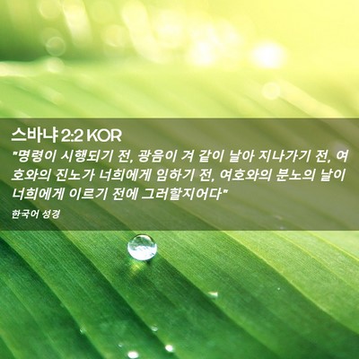 Picture 02 - 스바냐 2:2 KOR - 