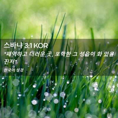 Picture 02 - 스바냐 3:1 KOR - 