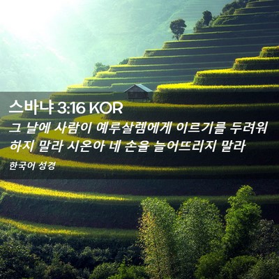 Picture 02 - 스바냐 3:16 KOR - 그 날에 사람이 예루살렘에게 - Bible Verse Picture