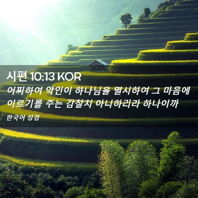 Picture 02 - 시편 10:13 KOR - 어찌하여 악인이 하나님을 멸시하여 - Bible Verse Picture