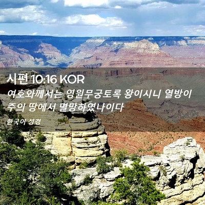 Picture 02 - 시편 10:16 KOR - 여호와께서는 영원무궁토록 - Bible Verse Picture