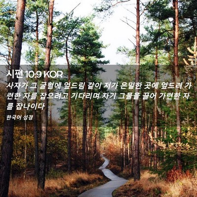 Picture 02 - 시편 10:9 KOR - 사자가 그 굴혈에 엎드림 같이 저가 - Bible Verse Picture