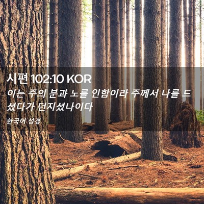 Picture 02 - 시편 102:10 KOR - 이는 주의 분과 노를 인함이라 - Bible Verse Picture