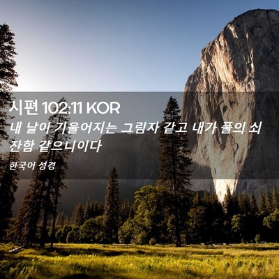 Picture 02 - 시편 102:11 KOR - 내 날이 기울어지는 그림자 같고 - Bible Verse Picture