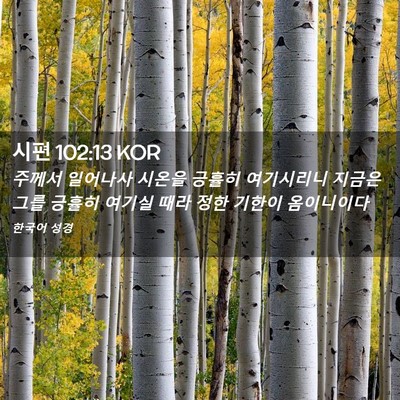 Picture 02 - 시편 102:13 KOR - 주께서 일어나사 시온을 긍휼히 - Bible Verse Picture