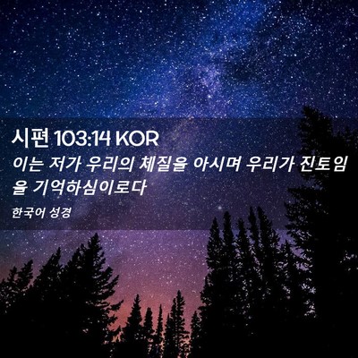 Picture 02 - 시편 103:14 KOR - 이는 저가 우리의 체질을 아시며 - Bible Verse Picture