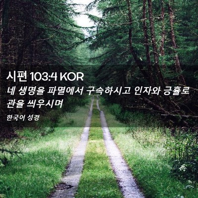 Picture 02 - 시편 103:4 KOR - 네 생명을 파멸에서 구속하시고 - Bible Verse Picture