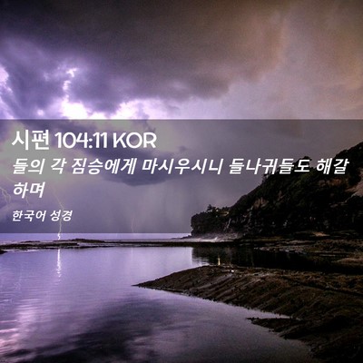 Picture 02 - 시편 104:11 KOR - 들의 각 짐승에게 마시우시니 - Bible Verse Picture