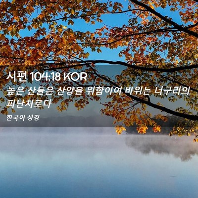 Picture 02 - 시편 104:18 KOR - 높은 산들은 산양을 위함이여 바위는 - Bible Verse Picture