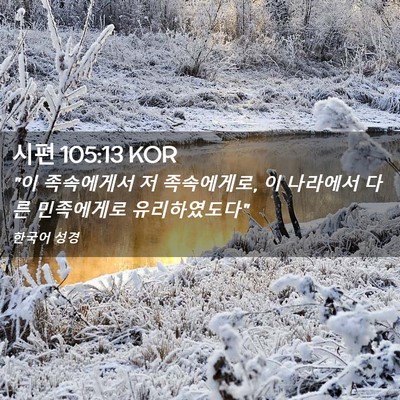 Picture 02 - 시편 105:13 KOR - 