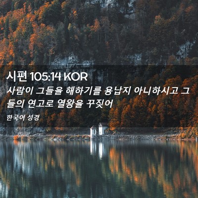 Picture 02 - 시편 105:14 KOR - 사람이 그들을 해하기를 용납지 - Bible Verse Picture
