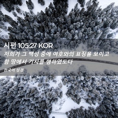 Picture 02 - 시편 105:27 KOR - 저희가 그 백성 중에 여호와의 - Bible Verse Picture