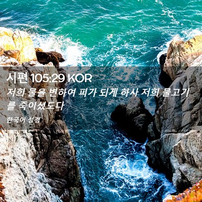 Picture 02 - 시편 105:29 KOR - 저희 물을 변하여 피가 되게 하사 - Bible Verse Picture