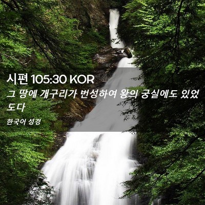 Picture 02 - 시편 105:30 KOR - 그 땅에 개구리가 번성하여 왕의 - Bible Verse Picture