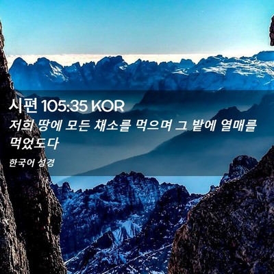 Picture 02 - 시편 105:35 KOR - 저희 땅에 모든 채소를 먹으며 그 - Bible Verse Picture