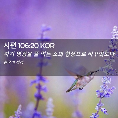 Picture 02 - 시편 106:20 KOR - 자기 영광을 풀 먹는 소의 형상으로 - Bible Verse Picture