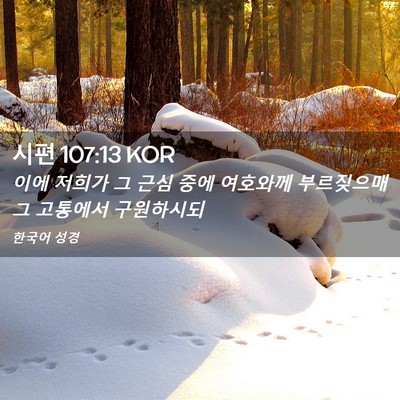 Picture 02 - 시편 107:13 KOR - 이에 저희가 그 근심 중에 여호와께 - Bible Verse Picture