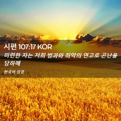 Picture 02 - 시편 107:17 KOR - 미련한 자는 저희 범과와 죄악의 - Bible Verse Picture