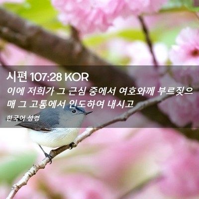 Picture 02 - 시편 107:28 KOR - 이에 저희가 그 근심 중에서 - Bible Verse Picture