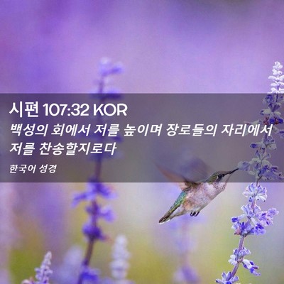 Picture 02 - 시편 107:32 KOR - 백성의 회에서 저를 높이며 장로들의 - Bible Verse Picture