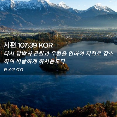 Picture 02 - 시편 107:39 KOR - 다시 압박과 곤란과 우환을 인하여 - Bible Verse Picture