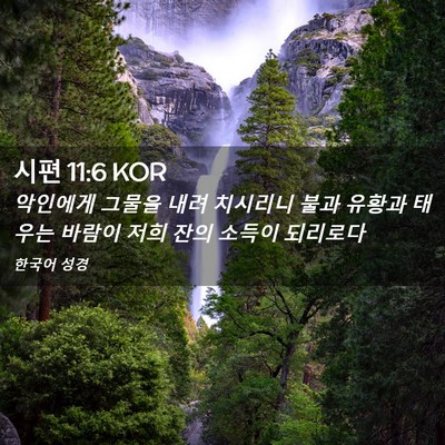 Picture 02 - 시편 11:6 KOR - 악인에게 그물을 내려 치시리니 불과 - Bible Verse Picture