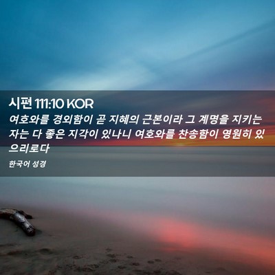 Picture 02 - 시편 111:10 KOR - 여호와를 경외함이 곧 지혜의 - Bible Verse Picture