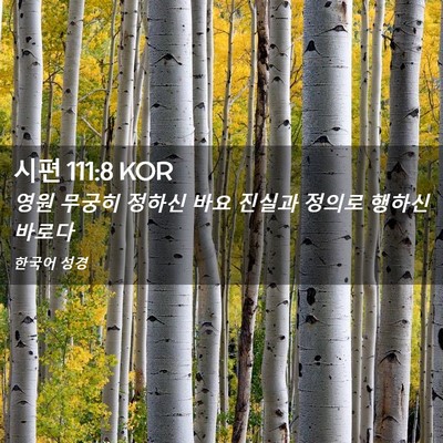 Picture 02 - 시편 111:8 KOR - 영원 무궁히 정하신 바요 진실과 - Bible Verse Picture