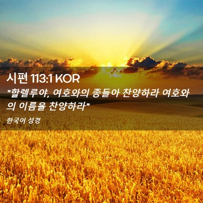 Picture 02 - 시편 113:1 KOR - 