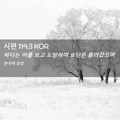 Picture 02 - 시편 114:3 KOR - 바다는 이를 보고 도망하며 요단은 - Bible Verse Picture