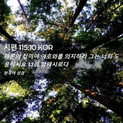 Picture 02 - 시편 115:10 KOR - 아론의 집이여 여호와를 의지하라 - Bible Verse Picture
