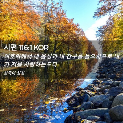 Picture 02 - 시편 116:1 KOR - 여호와께서 내 음성과 내 간구를 - Bible Verse Picture