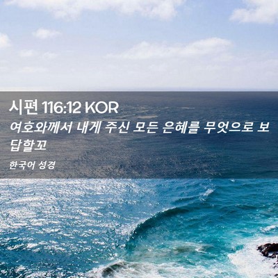 Picture 02 - 시편 116:12 KOR - 여호와께서 내게 주신 모든 은혜를 - Bible Verse Picture