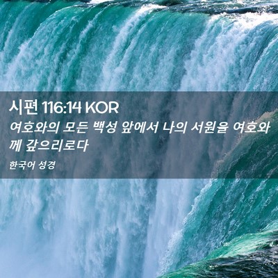 Picture 02 - 시편 116:14 KOR - 여호와의 모든 백성 앞에서 나의 - Bible Verse Picture