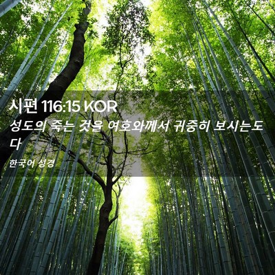 Picture 02 - 시편 116:15 KOR - 성도의 죽는 것을 여호와께서 귀중히 - Bible Verse Picture