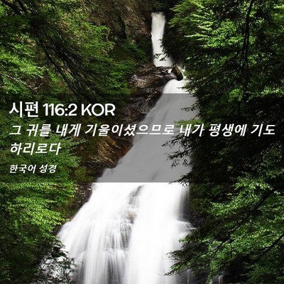 Picture 02 - 시편 116:2 KOR - 그 귀를 내게 기울이셨으므로 내가 - Bible Verse Picture