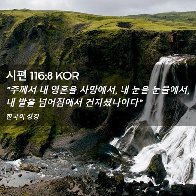 Picture 02 - 시편 116:8 KOR - 