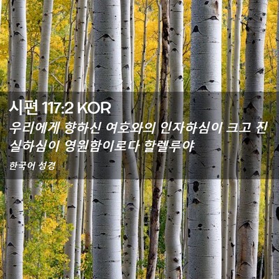 Picture 02 - 시편 117:2 KOR - 우리에게 향하신 여호와의 - Bible Verse Picture