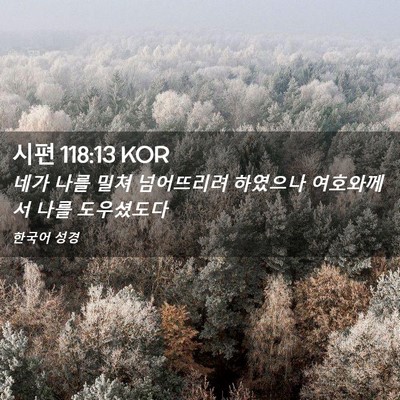Picture 02 - 시편 118:13 KOR - 네가 나를 밀쳐 넘어뜨리려 하였으나 - Bible Verse Picture