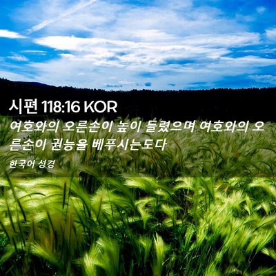 Picture 02 - 시편 118:16 KOR - 여호와의 오른손이 높이 들렸으며 - Bible Verse Picture