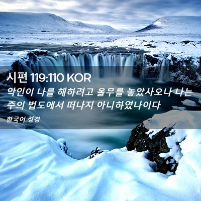 Picture 02 - 시편 119:110 KOR - 악인이 나를 해하려고 올무를 - Bible Verse Picture