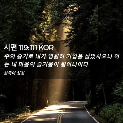 Picture 02 - 시편 119:111 KOR - 주의 증거로 내가 영원히 기업을 - Bible Verse Picture