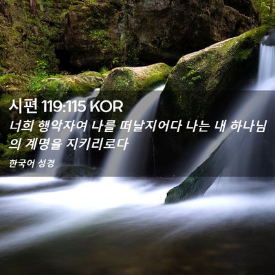 Picture 02 - 시편 119:115 KOR - 너희 행악자여 나를 떠날지어다 나는 - Bible Verse Picture