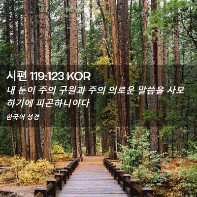 Picture 02 - 시편 119:123 KOR - 내 눈이 주의 구원과 주의 의로운 - Bible Verse Picture