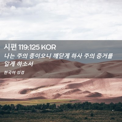 Picture 02 - 시편 119:125 KOR - 나는 주의 종이오니 깨닫게 하사 - Bible Verse Picture