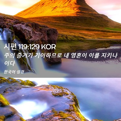 Picture 02 - 시편 119:129 KOR - 주의 증거가 기이하므로 내 영혼이 - Bible Verse Picture
