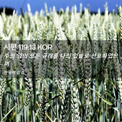 Picture 02 - 시편 119:13 KOR - 주의 입의 모든 규례를 나의 입술로 - Bible Verse Picture