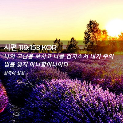 Picture 02 - 시편 119:153 KOR - 나의 고난을 보시고 나를 건지소서 - Bible Verse Picture