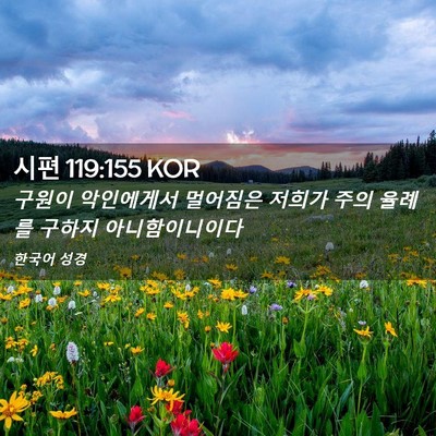 Picture 02 - 시편 119:155 KOR - 구원이 악인에게서 멀어짐은 저희가 - Bible Verse Picture